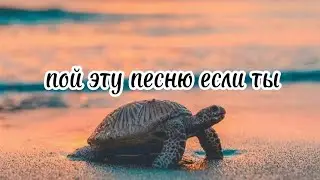 🦋пой эту песню если ты...🦋 Песни. Новые. Пой ...