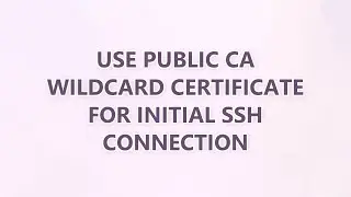 Use public CA wildcard certificate for initial ssh connection (3 SOLUTIONS!!)