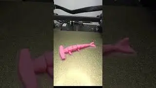 3D Printing Time Lapse: Hammer Shark