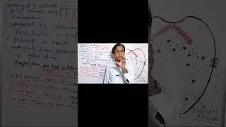 Papillae of Tongue In Hindi#shorts#viralvideo#viralshorts