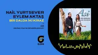 Nail Yurtsever feat Eylem Aktaş - Bir Dalda İki Kiraz (Asi Orijinal Dizi Müzikleri - OST - 2010)