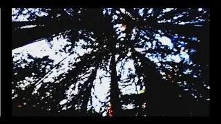 Soul Majestic-Deep Green (Official Video) [Single out now Album out in the Fall]