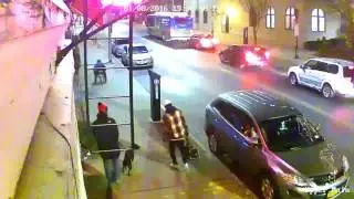 Pitbull attacks women's dog on a wheelchair