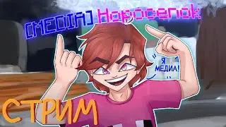 УРА! Я Получил MEDIA на Сервере Cristalix! Стрим с ВЕБКОЙ!