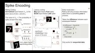 A Beginner-Friendly Introduction to Spiking Neural Networks