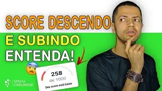 Por que meu Score sobe e descer - Score caindo a pontução ( Como aumentar o Score de Crédito )