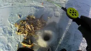 Чаны  Сарочиха Окунь 21 11 2021