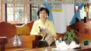 I  LOVE  MOM. 2555