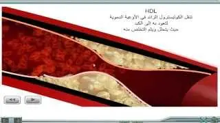 الكوليسترول  HDL - LDL