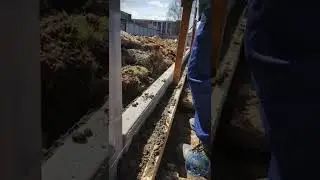 Рабочие будни 