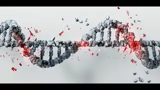 The Future of Medicine: CRISPR, Genomics & What’s Next | Dr. Mohammed Dafil