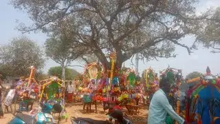 மருதூர் கிராமத்தில் பங்குனி உத்திரம் திருவிழா