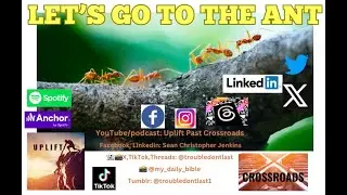 Let's Go To The Ant (Proverbs 6:6-11) | God Speaks Through Creation