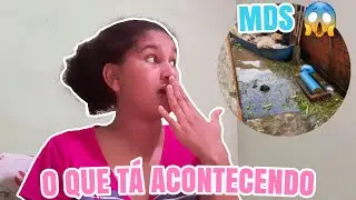 VLOG: COMPRINHAS + LAVEI MEU CABELO CACHEADO + ENCHENTE DE ÁGUA, E ETC.