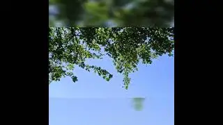 пикник в Берёзовой балке 2022