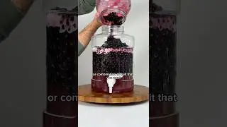 SIMPLE AND DELICIOUS BLUEBERRY MEAD TUTORIAL