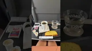 Is BUSINESS CLASS on a TRAIN worth it?! (TRAVEL VLOG) #viarail #montrealtourism