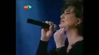 Nursaç DOĞANIŞIK - Yeşil Yaprak Arasında Kırmızı Gül Goncesi