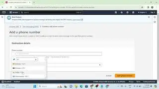 Simple Notification Services