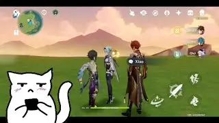 Guía rápida de acompañantes en la relajatetera • Genshin Impact