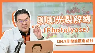這個成分能修復曬傷 DNA？你聽過光裂解酶嗎？｜Dr.Hsieh達特醫