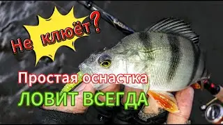Устали сидеть без поклевок? Простая оснастка разбудит лютый аппетит у ленивого окуня!