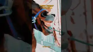 ⚡я всегда онлайн в тг - @eqvirey
