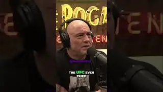 UFC fighter  killed by Iranian forces
