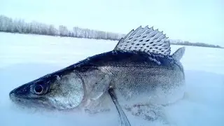 Рыбалка на Каме. Камские Поляны. Отчёт от 21.03.17