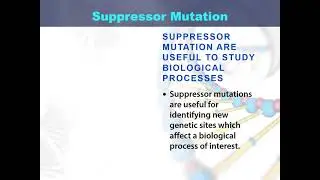suppressor mutation