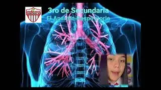 IMPORTANCIA DE LA RESPIRACIÓN EN LOS SERES VIVOS