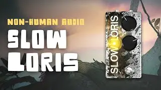 Non-Human Audio | Slow Loris Demo