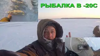 РЫБАЛКА НА СУДАКА В ( -20 С )  13.01.2024.
