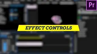 Effect Controls Tab in Premiere | Editing Basics | Effects Controls Explained | Premiere Pro 2021