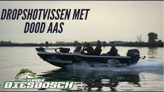 Dropshotvissen met dood aas