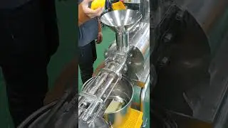Twin gear Cold Press Slow Juicer Extracting Lemon