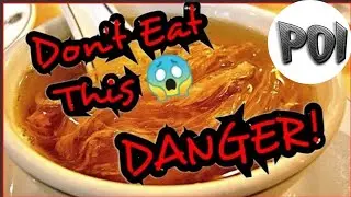 Don't try to eat this |What is Shark Fin Soup | Origin and its Preparation Explained