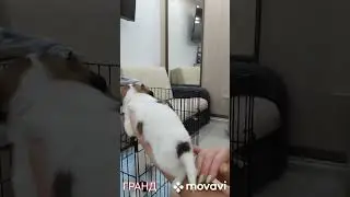 ГРАНД!!!