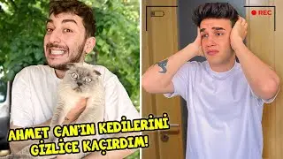 AHMET CAN DÜNDAR 'IN KEDİSİNİ KAÇIRDIM !!!! 