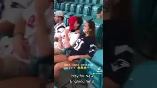 Hard times in New England 🥹🥹😂😂🐬 #DWA
