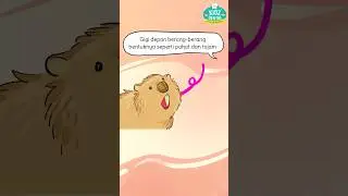 #Komikidz edisi Andaikan Aku Punya Gigi Berang Berang #animasiindonesia #komikvideo #komikedukasi