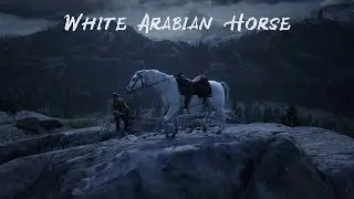 RDR 2 Best early game horse location, Arabian White Horse PC 60FPS
