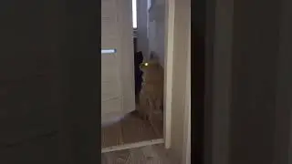 Господа, скажите, а поезд уже ушел?