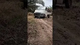 Mobil oleng diperkebunan sawit.. #shorts #shortsvideo