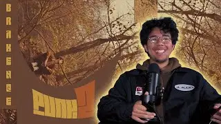 i think im a brakence fan//PUNK 2 BRAKENCE REACTION REVIEW