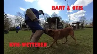 OTIS & BART - INSTA360 - Koninklijke Verdedigingshond Wetteren KVH #12