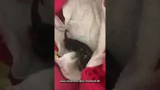♥️♥️♥️