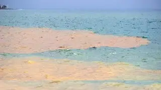 DÜZCE AKÇAKOCA SEL FELAKETİNDEN SONRA DENİZİN RENGİ DEĞİŞTİ ! - Çayağzı Plajı
