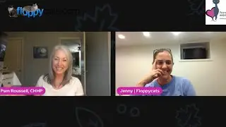 Feline Hyperesthesia Syndrome: Ragdoll Cat Charlie's Healing with Pam of Purrrfectly Holistic