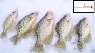 Ice Fishing for Crappie